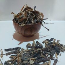 ایزینیا فتیدا