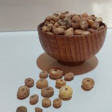 نخود الوند (پیاز)