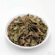 برگ گردو