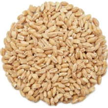 جو پوست کنده
