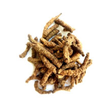 کندوش (خربق سفید)
