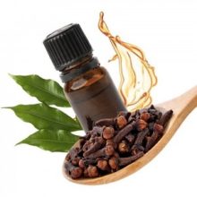 روغن میخک اصلی