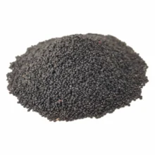 تخم خرفه سورتی