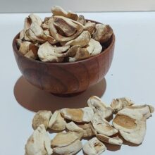 پیاز گل واژگون