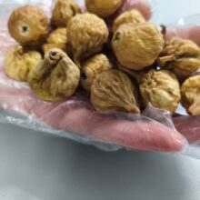 انجیر استهبان متوسط