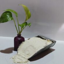 پودر سفیده تخم مرغ