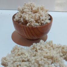 مریم نخودی
