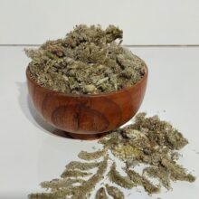 گل بیدمشک