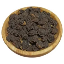 سپستان