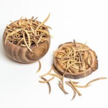 ناخنک درشت