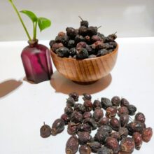 میوه نسترن