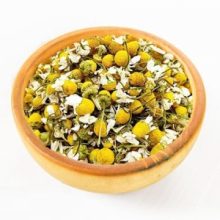 بابونه گل درشت کد 102