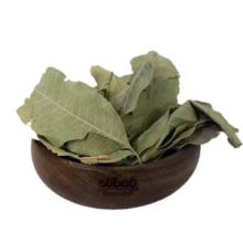 برگ انبه سبز