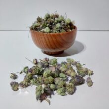 گل زوفا