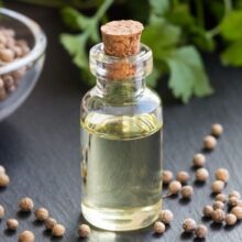 روغن گشنیز پایه (پیچک)