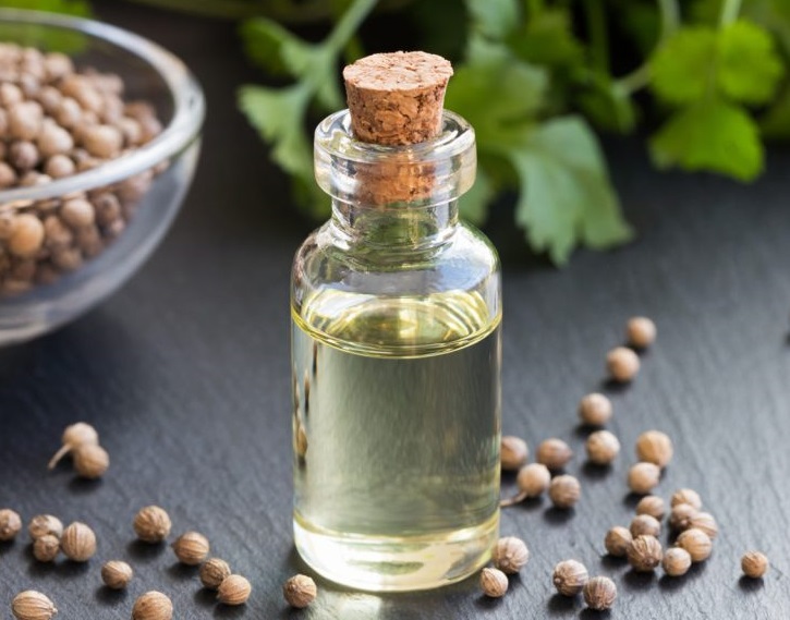 روغن گشنیزپایه(پیچک)کد0110
