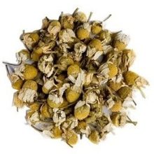 بابونه نرم آلمانی