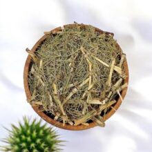 دم اسبی