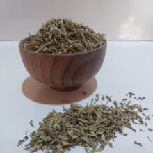 زرین گیاه