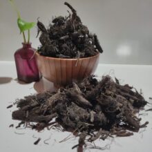 سنبل الطيب بدون خاک