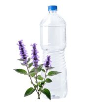 بادرنجبویه بهارنشان