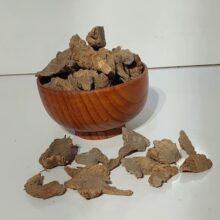 زرنباد