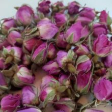 غنچه گل محمدی (سرخ)