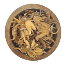 ثعلب پنجه ای