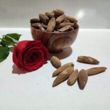 بلوط خشک