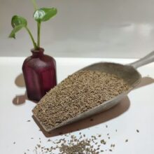انیسون