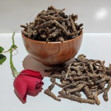 خربق سفید
