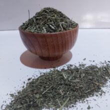 گزنه
