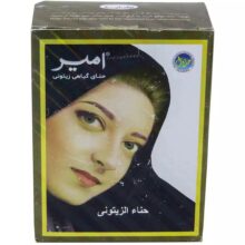 حنا امیر زیتونی