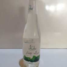 برگ چنار بهارنشان