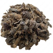 اسطوخدوس خارجی