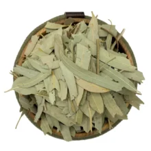 برگ اکالیپتوس