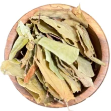 برگ به