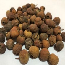 کیالک